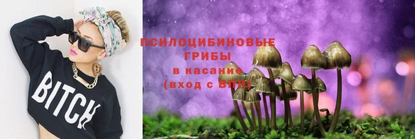 дурь Переславль-Залесский