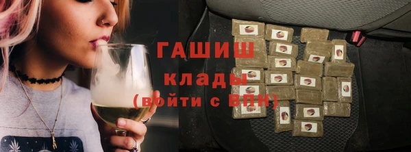 молекула духа Гвардейск