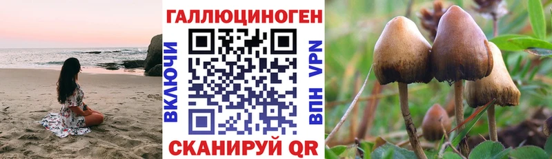 Псилоцибиновые грибы Magic Shrooms  Каменск-Шахтинский 